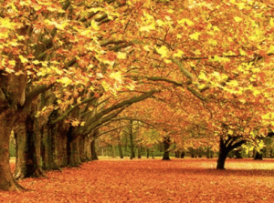 Screen Shot 2013-09-09 at 2.27.35 PM